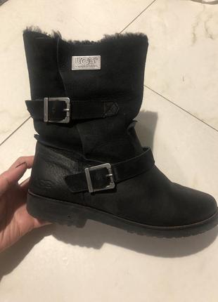 Зимние ботинки фирмы ugg