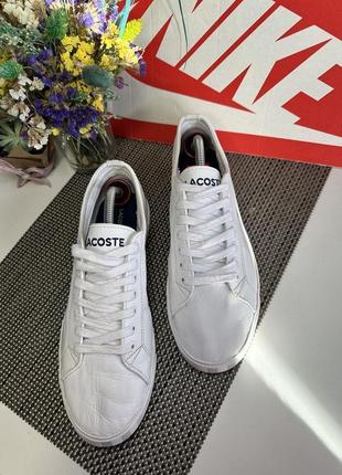 Оригинальные кеды lacoste6 фото
