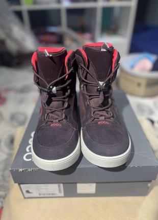 Черевики ecco urban snowboarder