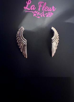 Серьги из медицинской стали