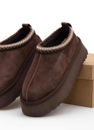 Ugg tasman platform brown, угги женские коричневые на платформе, угги женкебристое коричневое
