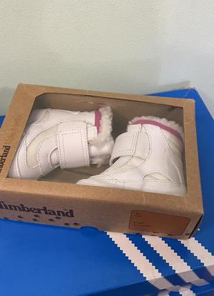 Черевики (взуття) для немовлят timberland