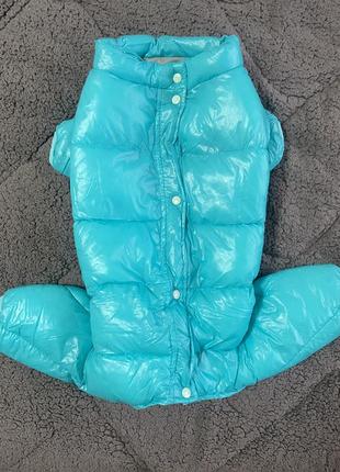 Зимний теплый комбинезон для собаки