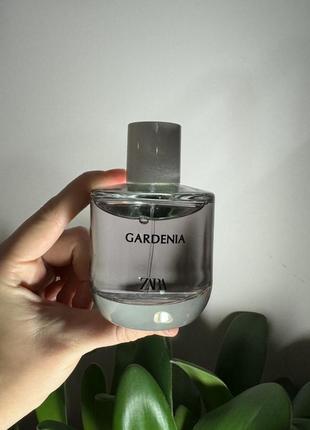 Женский парфюм gardenia от zara 100 ml