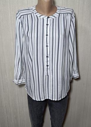 Женская блуза. белая блузка в полоску. блуза в полоску. черно-белая блуза