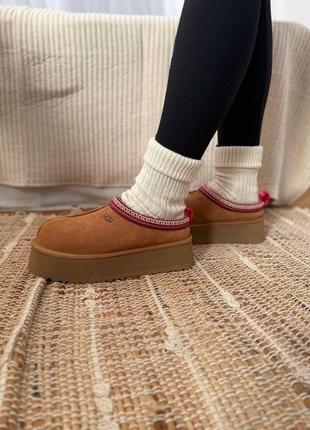 Зимние угги ugg tazz platform chestnut premium