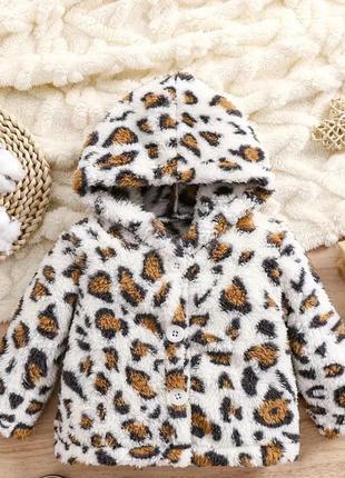 Тедди леопард