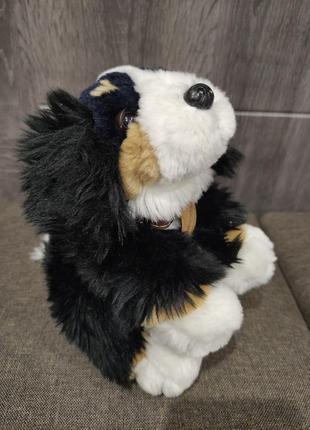 Іграшка собачка цуценя берськийзеннихундберн песик 23 см keel toys