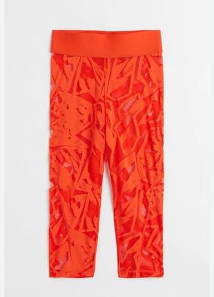 Новые кружевные леггинсы h&m леггинсы капри ажурная сетка h&m studio collection