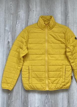 Timberland jacket