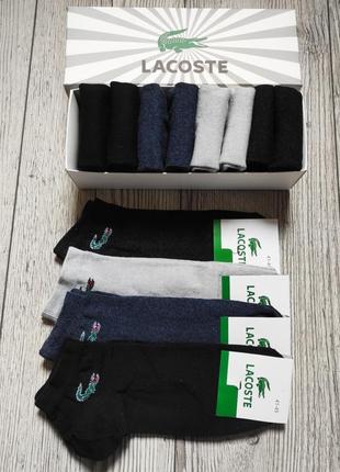 Носки, носки мужские lacoste -набор 12 пар в коробке