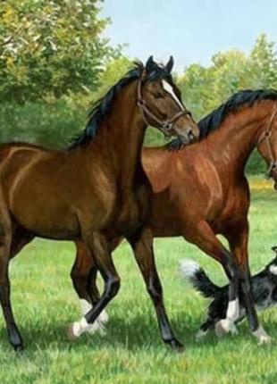 Алмазная мозаика лошадь 🐎 лошади 20*25 см картина по номерам