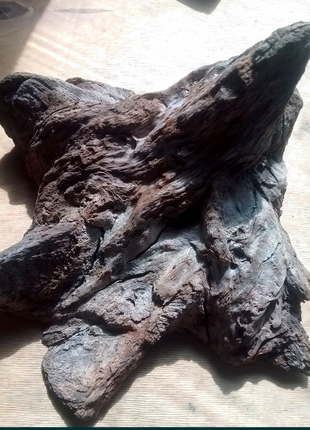 Декор для акваріуму, дубова коряга 30 см