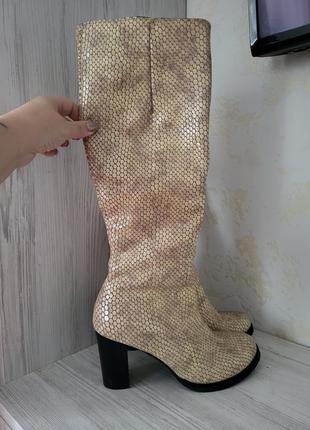 Сапоги теплые зимние кожа питона