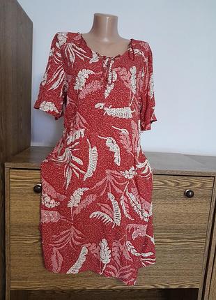 Плаття 👗