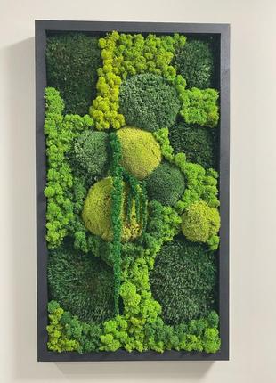 Фито картина