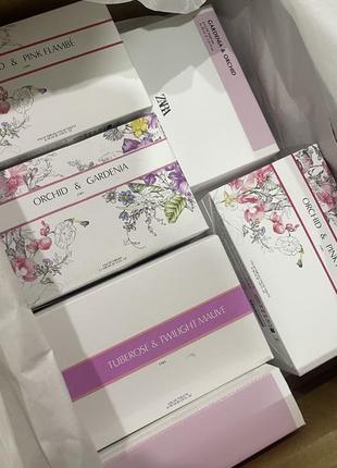 Zara orchid