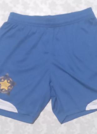 Чоловічі шорти