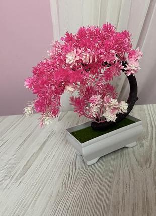Декоративна сакура 2