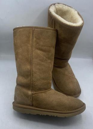 Уггі ugg classic ii tall boot (1017713k) оригінал