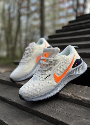 Nike pegasus  edn