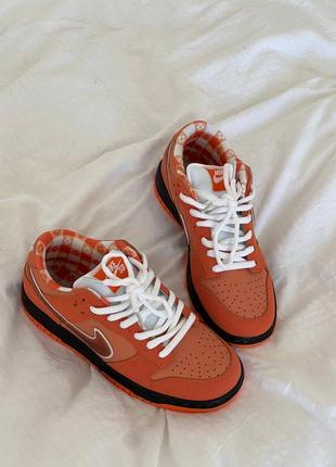 Кросівки nike dunk low  orange lobster6 фото