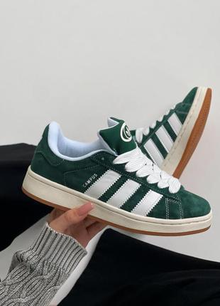 Adidas campus green  pladc007