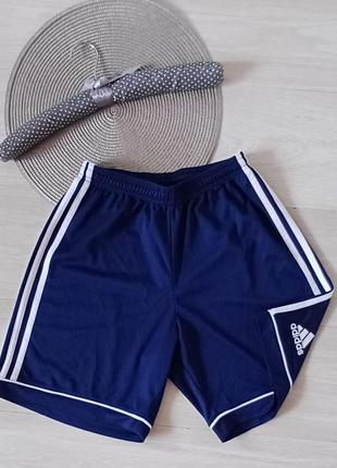 Шорты  спортивные  adidas