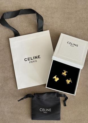 Новые заколки celine