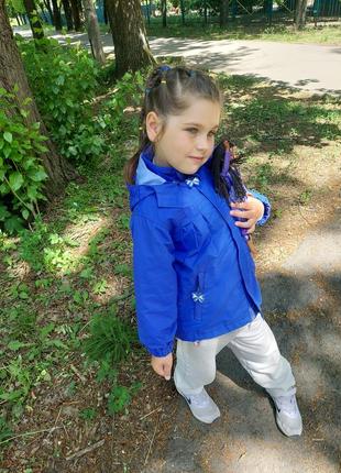 Куртка синя з метеликами ludo kids 110