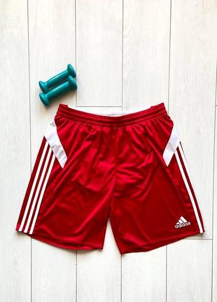 Шорты adidas мужские спортивные