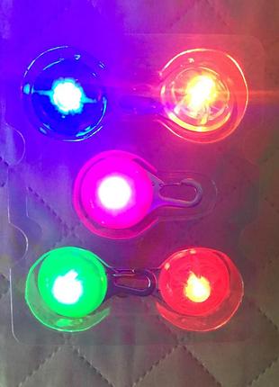 Светящиеся led брелки на карабине для собак и кошек wdccl. цена за упаковку 5 шт.