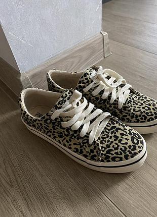 Кеди zara