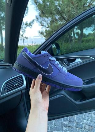 Мужские кроссовки nike sb dunk low purple lobster