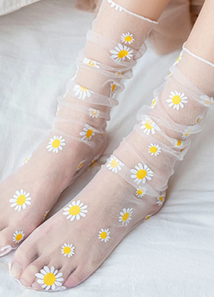 Ексклюзивні шкарпетки сітка ромашки білі