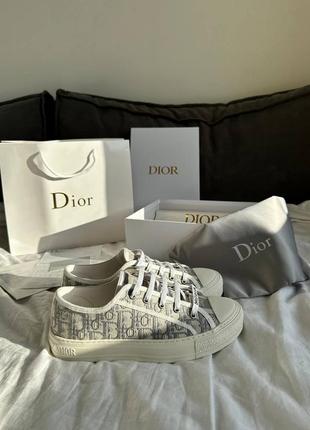 Кеди dior sneakers low grey premium