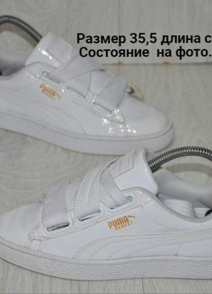 Продам кросівки фирма puma.