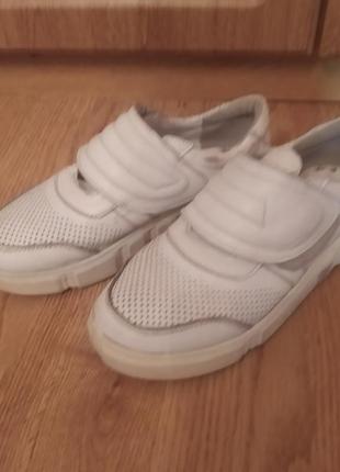 Туфлі maxus shoes 36 р