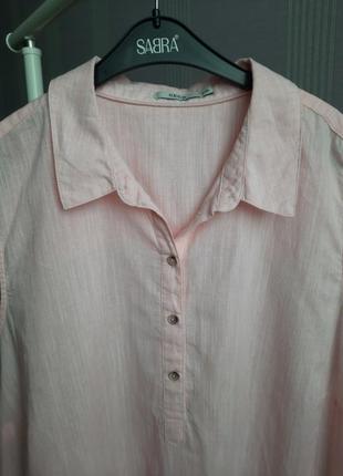 Блуза великого розміру з вишивкою cecil7 фото