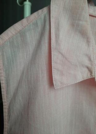 Блуза великого розміру з вишивкою cecil8 фото