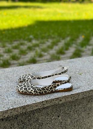 Балетки туфли лео леопард женские7 фото