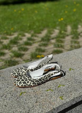 Балетки туфли лео леопард женские3 фото