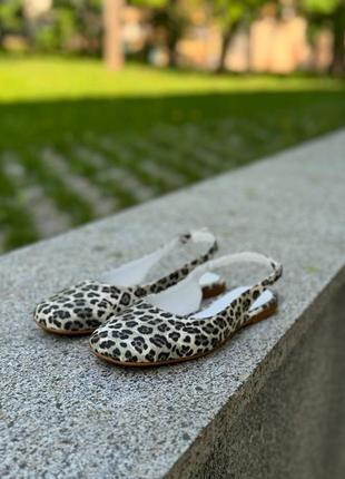 Балетки туфли лео леопард женские8 фото