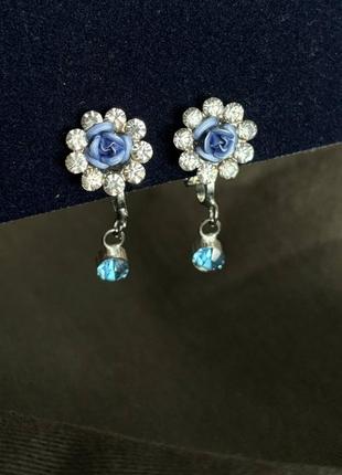 Сережки