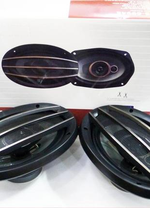 Автомобильная акустика колонки 6994 6x9 овалы (600w)