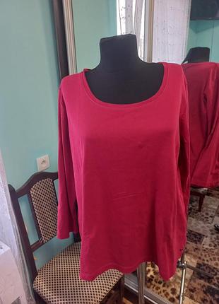 Лонгослів 😀😀😀