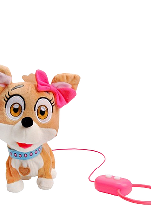 Собачка кикки на поводке ходит виляет хвостом озвучено на украинском языке (m4283-i-ua)