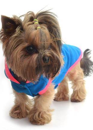 Жилет для собак джек №0 25 х 40 см