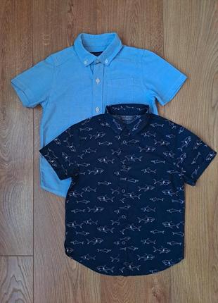 Летний нарядный набор для мальчика/рубашка с коротким рукавом для мальчика/летние шорты4 фото
