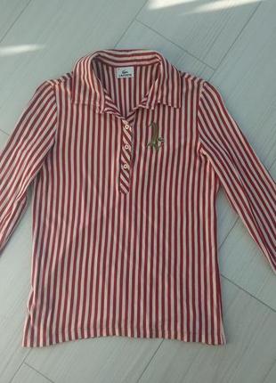 Рубашка lacoste/100% хлопок/блузка/кофта/вертикальная полоска/распродажа/тренд